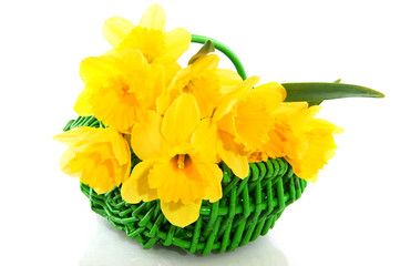 Basket with daffodils