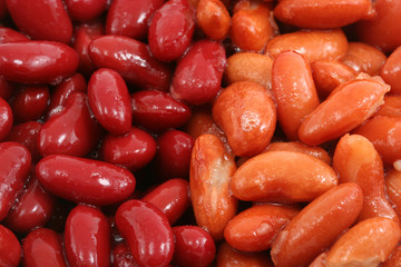 Dark and light kidney beans