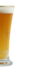 Pilsner glass of beer