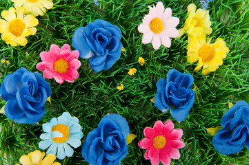 Flowers in the grass