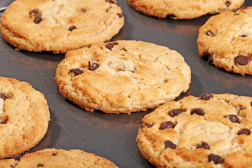 closeup chocolate chip cookies on baking sheet