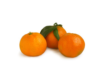 tangerine
