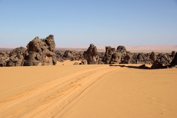 Fototapeta na wymiar Śled¼ na pustyni, Libia