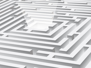 white maze - the target