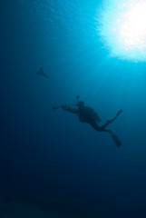 Silhouette of a scuba diver