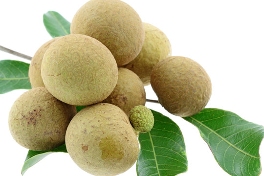 Dimocarpus longan, Longani, oeil du dragon, fond blanc