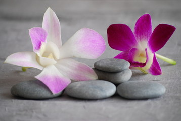 Fototapeta na wymiar galets et orchidées