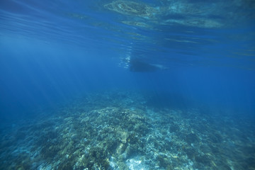 Fototapeta na wymiar diving boat, ocean and coral