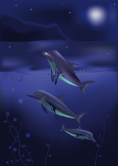 dauphins et mer du nord