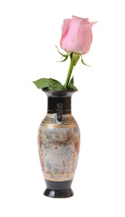 pink rose