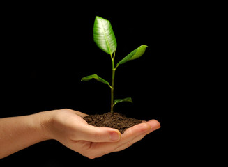 new life