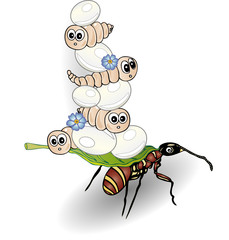 Ameise, Ameisen, Eier