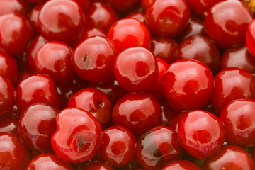 Fresh natural cherry background
