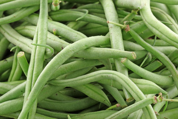 haricot vert