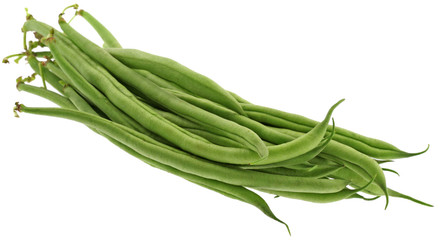 haricot vert, fond blanc