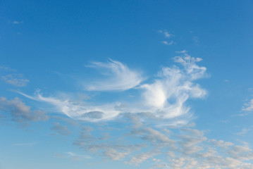 Naklejka na ściany i meble Blue sky with fluffy white clouds