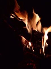 Fototapeta premium Flame.