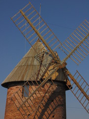 Toulouse, ville rose, nature et sauvage