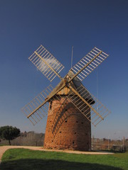 Toulouse, ville rose, nature et sauvage