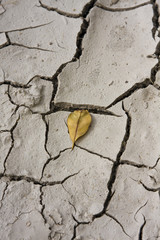 It is a dry land to show the effect of Global Warming