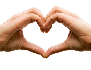 Shape of the heart