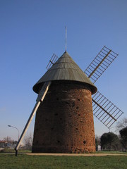 Toulouse, ville rose, nature et sauvage