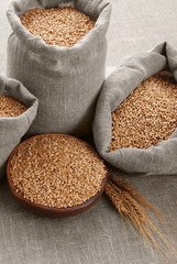 Grain of the wheat in bags