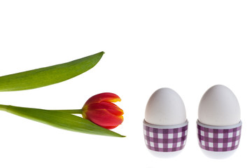 Eier und Tulpen im Frühling
