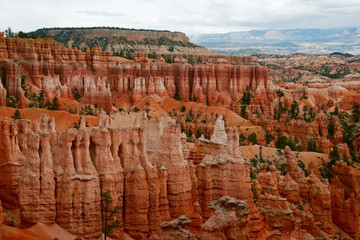 View on the valley. Slopes of Bryce canyon. Utah. USA
