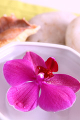 Obraz na płótnie Canvas wellness,orchidee