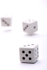 three dice