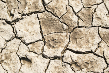 dry ground