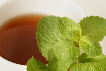 Tea with mint