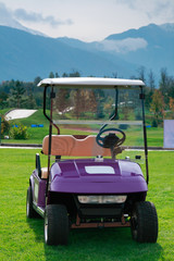 Golf cart
