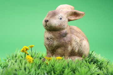 Osterhase auf Blumenwiese