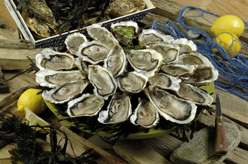 Huitres Bretagne