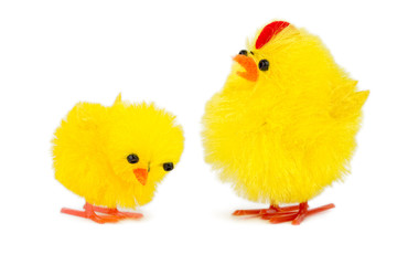daddy chick and baby chick