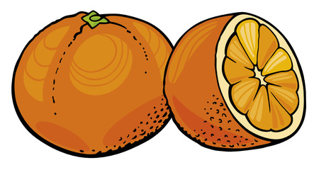 oranges © Igor Zakowski