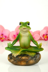 Künstlicher Frosch beim Yoga