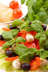 Fototapeta na wymiar Fresh salad with basil, mozzarella, olives and tomato