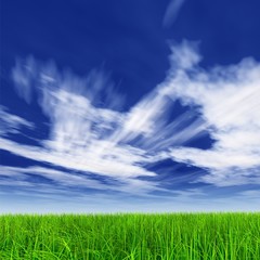 High resolution grass and sky background