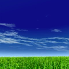 High resolution grass and sky background