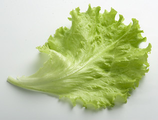 Lettuce