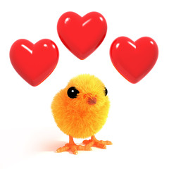 Love Chick