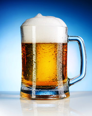 Mug of Beer