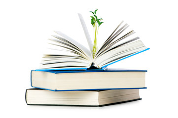 Knowledge concept with books and seedlings