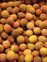 Litchi