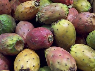 Fruits des cactus