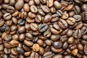 Coffee Beans