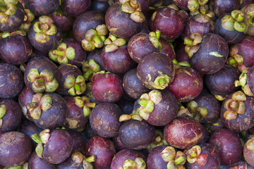 Ripe mangosteens